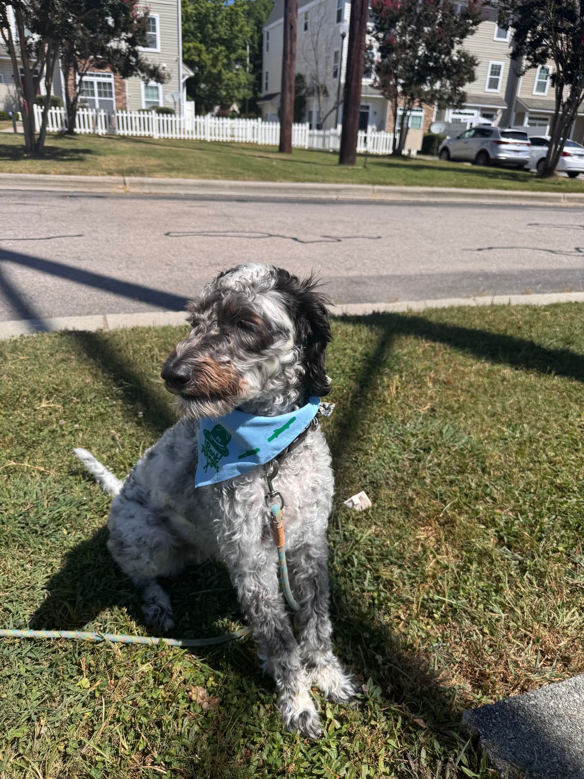 my handsome son being handsome